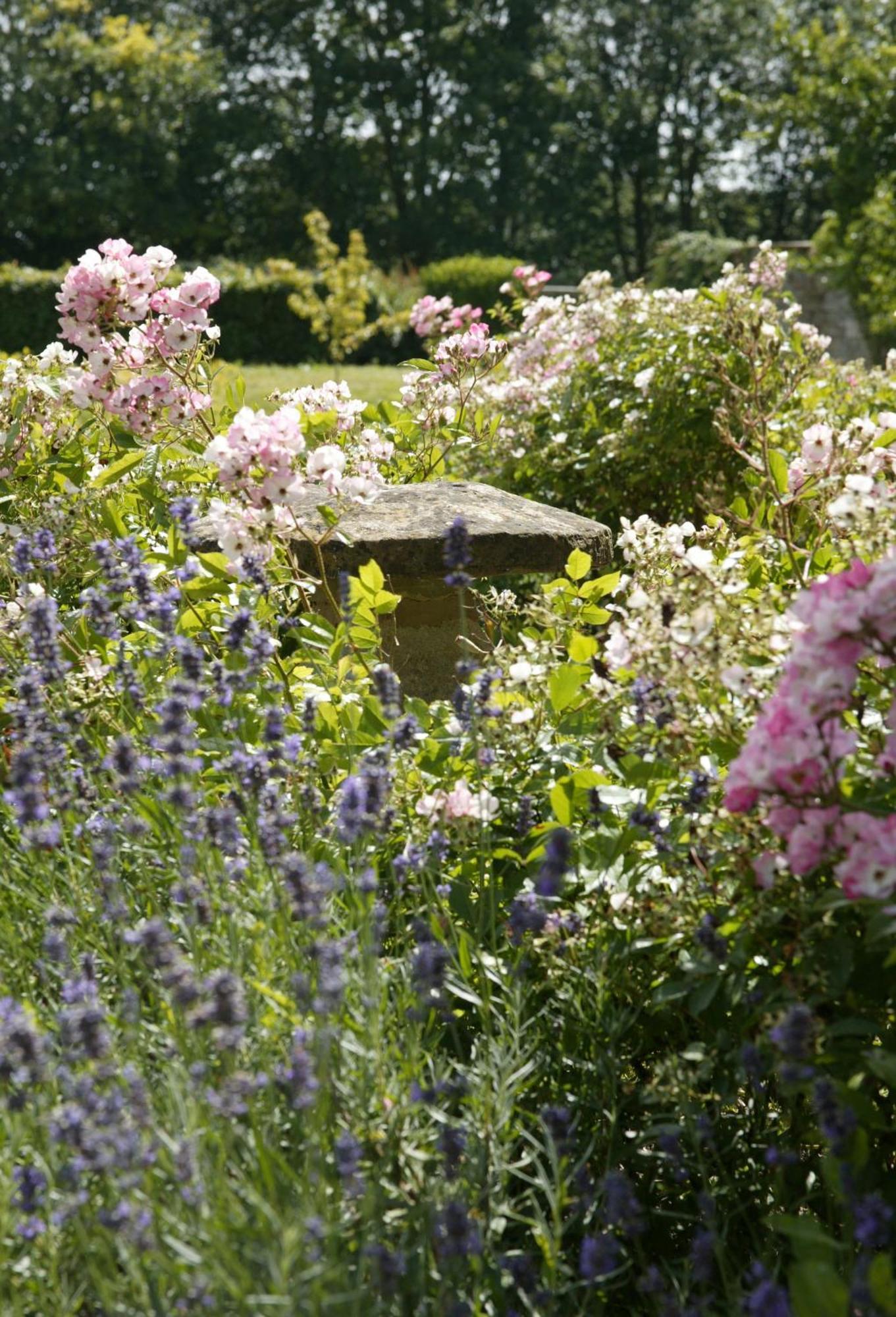 Overtown Manor Bed And Breakfast Swindon Eksteriør billede